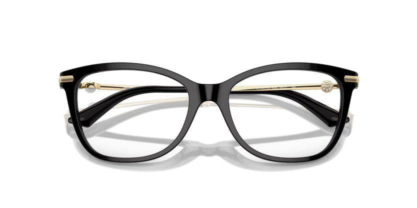 Jimmy Choo JC3007HB