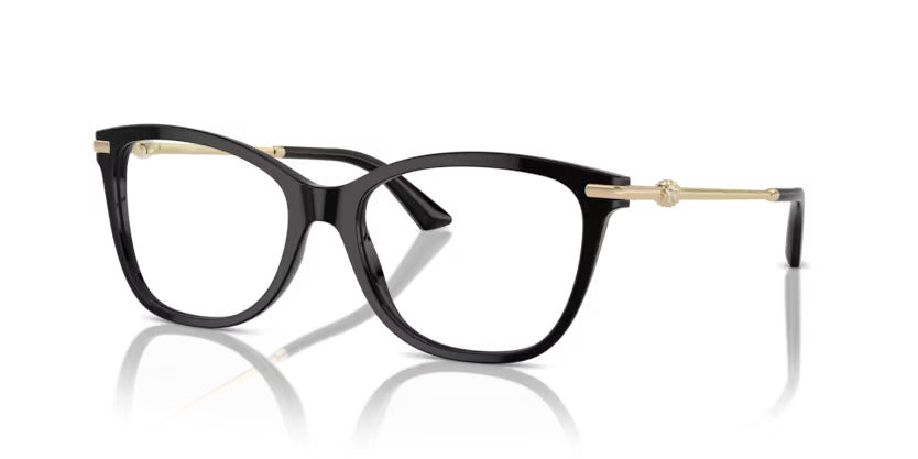 Jimmy Choo JC3007HB