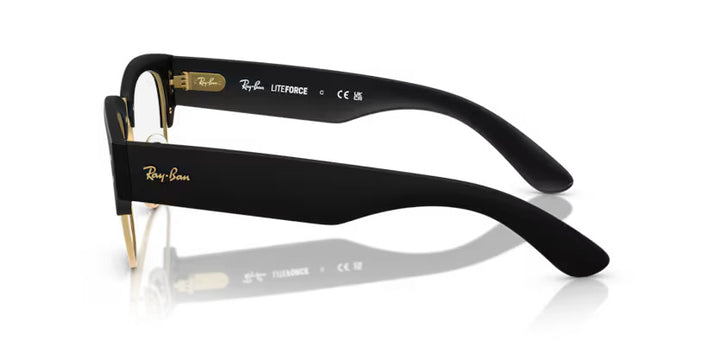 Ray-Ban 0RX7316V