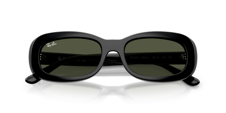 Ray-Ban 0RB2221 Black 56