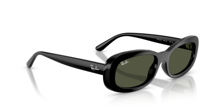 Ray-Ban 0RB2221 Black 56