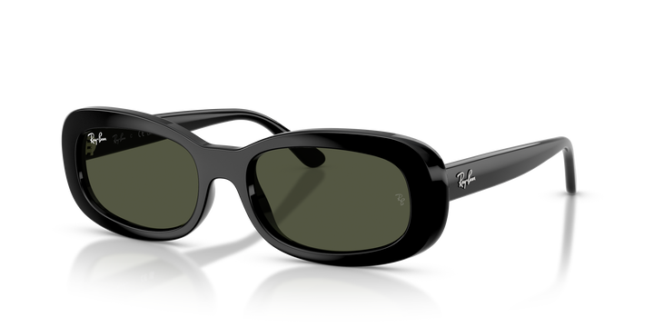Ray-Ban 0RB2221 Black 56