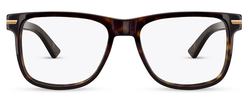 Range Rover RR3055A eyeglasses in Tortoiseshell