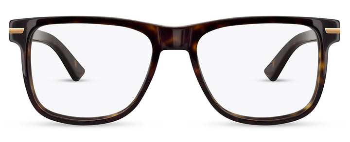 Range Rover RR3055A eyeglasses in Tortoiseshell