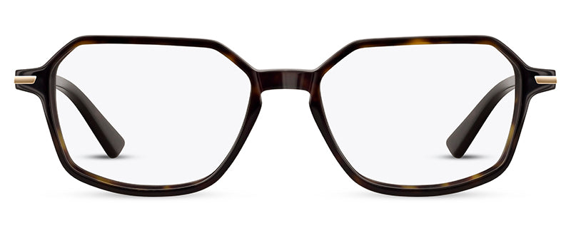 Range Rover RR3062A eyeglasses in Tortoiseshell