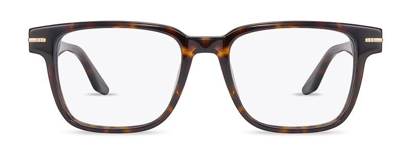 Range Rover RR3079A eyeglasses in Tortoiseshell