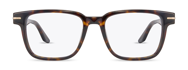 Range Rover RR3079A eyeglasses in Tortoiseshell