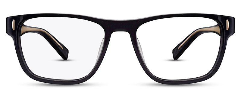 Range Rover RR3031A eyeglasses in Black and Gold