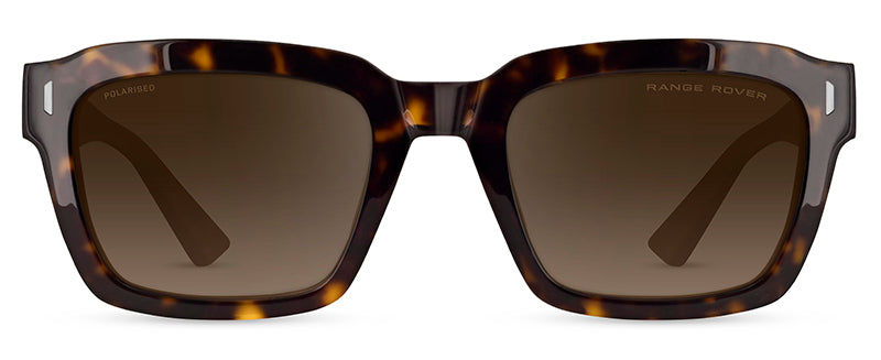 Range Rover RRS313 Square sunglasses in Tortoiseshell