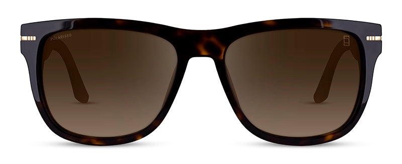 Range Rover RRS317 Rectangle sunglasses in Tortoiseshell